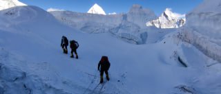 耀哥吓得脸都黑了